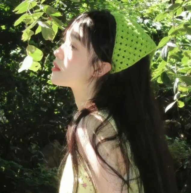 公猫